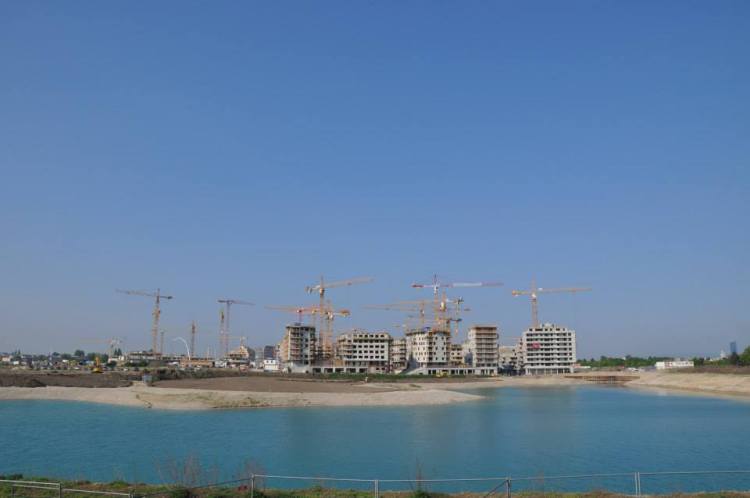 1510611_735872979790324_6340471974454439528_n