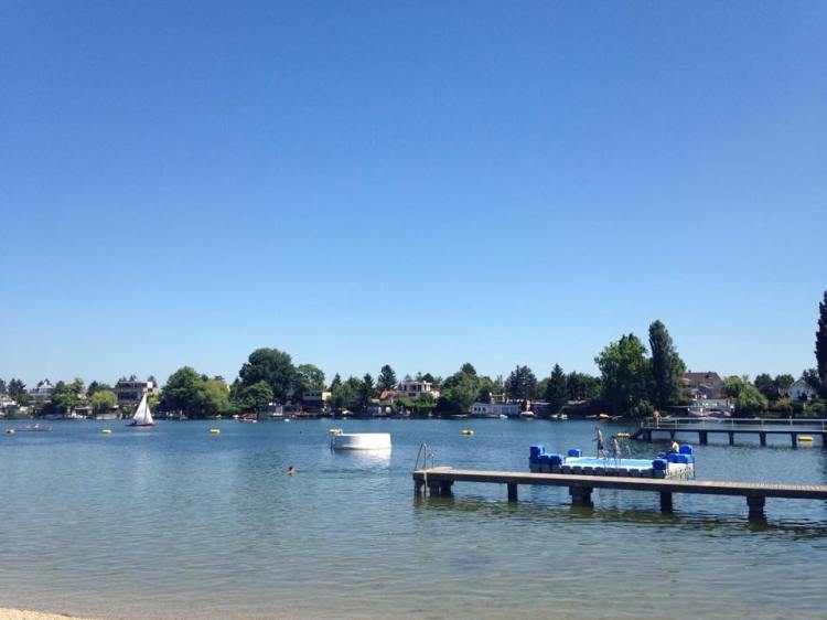 11391398_1002459923111646_2178402992796601517_n